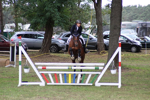 Pferd vor Sprung Pferd_vor_Sprung.JPG